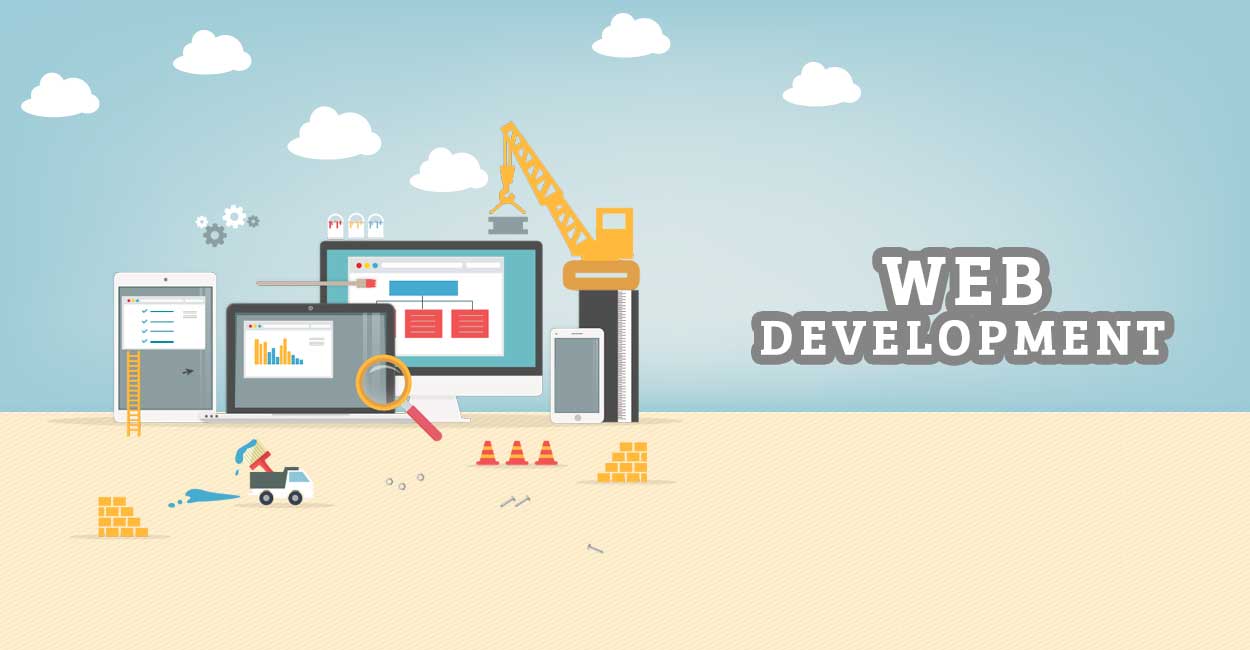 Web Development and Software Development Company In Jaipur